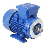 Photo of Marelli - 0.55kW (0.75HP) 230V/400V 3ph 4P 80F AC Motor for Speed Control - B34 Foot and Face