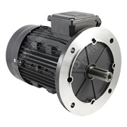 Photo of TEC Electric - 2.5kW (3.3HP) 4 Pole, 3kW (4HP) 2 Pole AC Induction Motor 400V B5 Flange Mount - 100L Frame