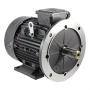 Photo of TEC Electric – IE1 5.5kW (7.5HP) 4 Pole AC Induction Motor 400V B35 Foot and Flange Mount - 132S Frame