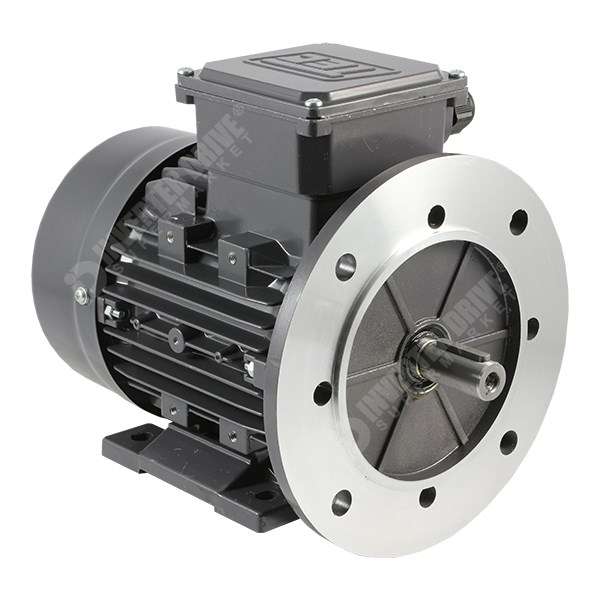 TEC IE1 Electric Motor 0.25kW 4 Pole Foot Mounted 