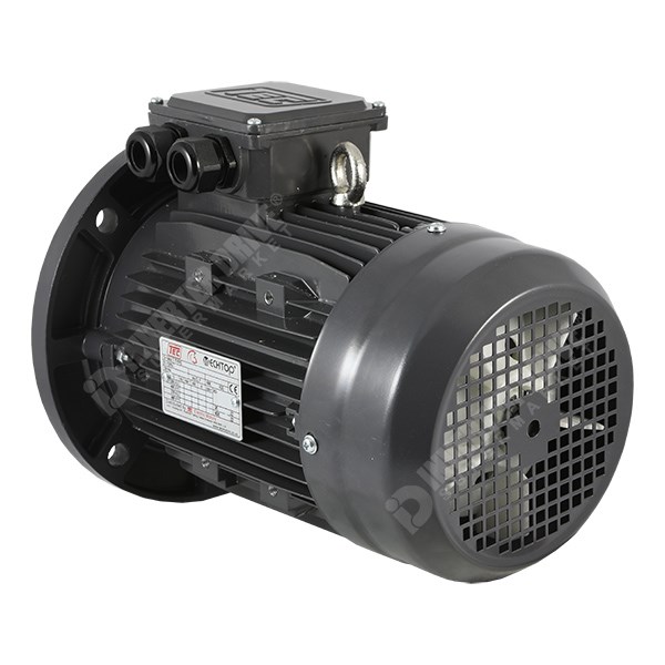 Photo of TEC Electric - 2.5kW (3.3HP) 4 Pole, 3kW (4HP) 2 Pole AC Induction Motor 400V B5 Flange Mount - 100L Frame