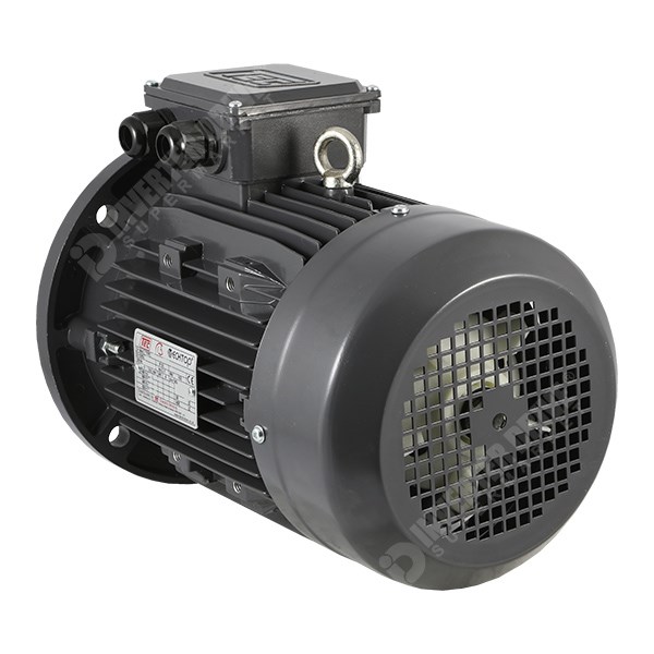 Photo of TEC 5.5kW (7.5HP) 112M 400V 3ph 2 Pole Flange Mounting (B5) AC Motor for Speed Control
